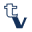 texvisions.com