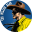 texwillerblog.com
