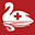 tfmc.ie