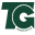 tgtransportes.com.br
