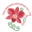 thaiorchidsexporter.com