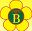 thanhbuoibus.com.vn