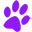 theanimaldoctorventura.com