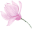 thebeautilab.com