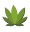thecannacpas.com