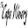 thecapewinery.com