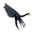 thecephalopodpage.org