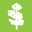 thecoopschool.org