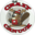 thecrazycanuck.ca