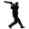 thecricketinn.com