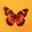 thedivinecomedy.com