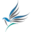 theflagcorp.com