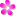 theflowershop.ae