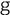 theguardian.org