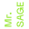 thehackingsage.com