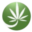 thehempoilbenefits.com