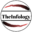 theinfology.com