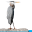 thelakenews.com
