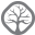 theoakbrookdentist.com