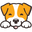 thepetsclub.ae