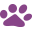 thepurplepoochbakery.com