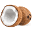 therealestatecoconut.com