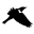 theurbanbirder.com