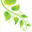 theveganrd.com
