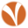 thevineyard.org