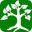 theyogatree.co.uk