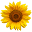 thingsinplace.com