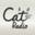 thisiscat.com