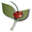 thorn-creek.com