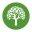 throughthewoodstherapy.com