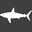 tiburon.com.tr