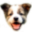 tierperso.de