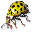tierportraet.ch