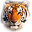 tiger-sw.com