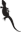 tikisgeckos.com