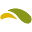 tikkishoes.com