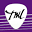 timsguitar.com