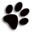 tinypuppy.com