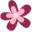 tipnut.com