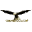 tiropratico.com