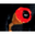 titoki.net