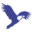 tnaacs.org