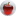 tnm-corad.com.cn