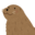 todooka.com