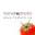 tomato.sg