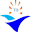 tongdaive.com